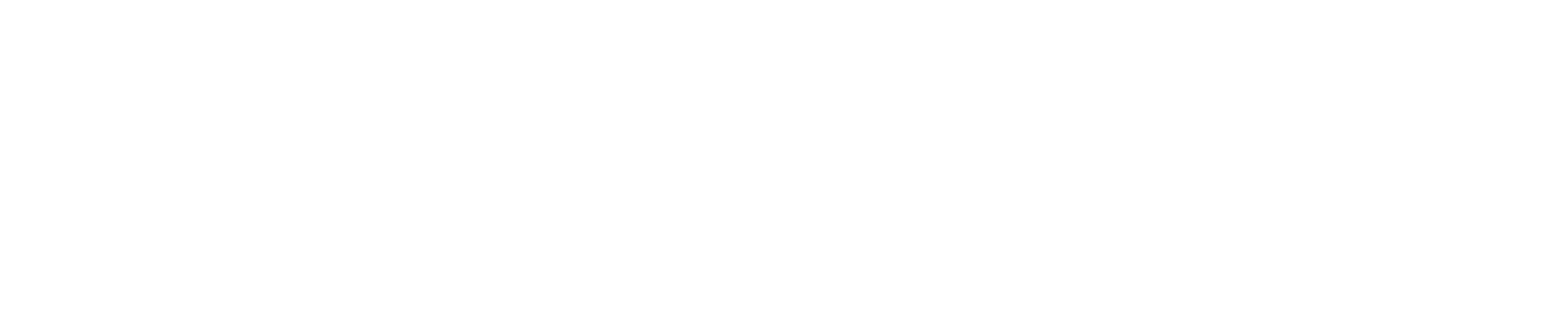 Landing logo_Hor_1 C White.png