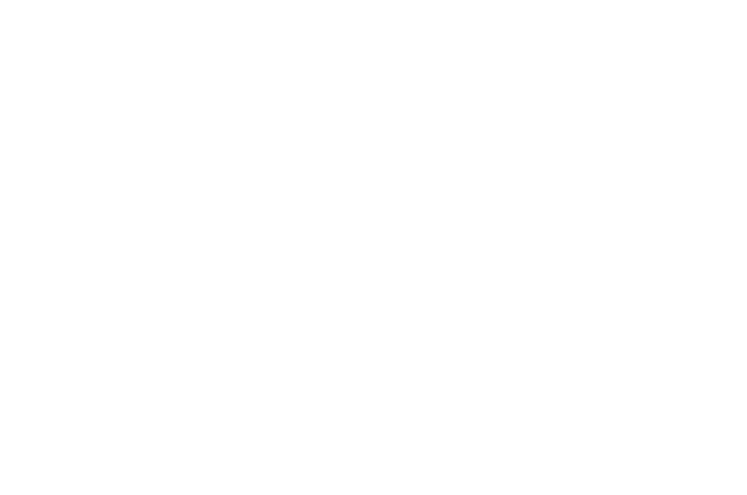 The Trust Logo